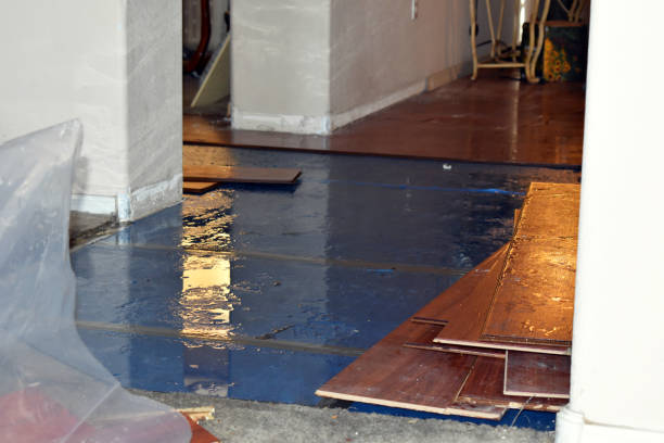 Professional Burst Pipe Cleanup technician working in Penelope, TX